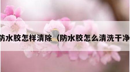 防水胶怎样清除（防水胶怎么清洗干净）