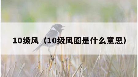 10级风（10级风圈是什么意思）