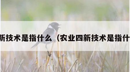 四新技术是指什么（农业四新技术是指什么）