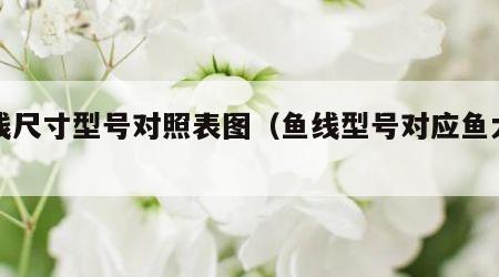 鱼线尺寸型号对照表图（鱼线型号对应鱼大小图）