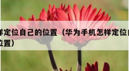 怎样定位自己的位置（华为手机怎样定位自己的位置）