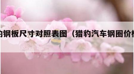 猎豹钢板尺寸对照表图（猎豹汽车钢圈价格查询）