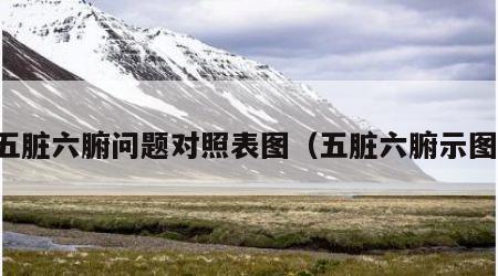五脏六腑问题对照表图（五脏六腑示图）