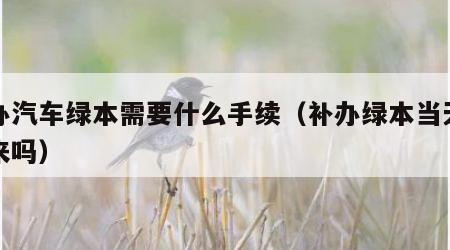 补办汽车绿本需要什么手续（补办绿本当天能下来吗）