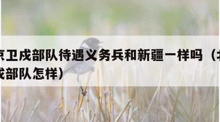 北京卫戍部队待遇义务兵和新疆一样吗（北京卫戍部队怎样）