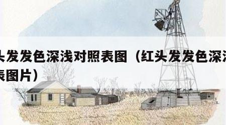 红头发发色深浅对照表图（红头发发色深浅对照表图片）