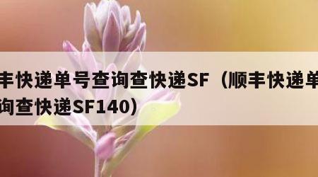 顺丰快递单号查询查快递SF（顺丰快递单号查询查快递SF140）