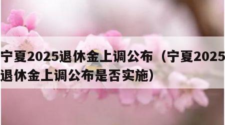 宁夏2025退休金上调公布（宁夏2025退休金上调公布是否实施）