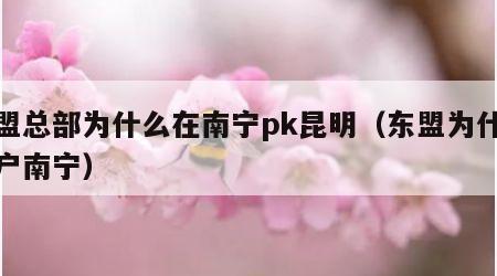 东盟总部为什么在南宁pk昆明（东盟为什么落户南宁）