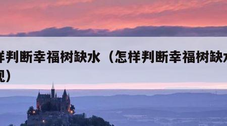 怎样判断幸福树缺水（怎样判断幸福树缺水的表现）