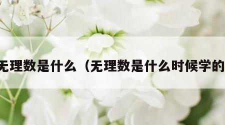 无理数是什么（无理数是什么时候学的）