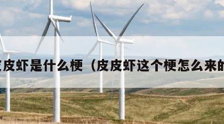 皮皮虾是什么梗（皮皮虾这个梗怎么来的）