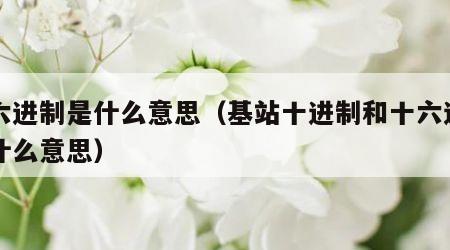 十六进制是什么意思（基站十进制和十六进制是什么意思）