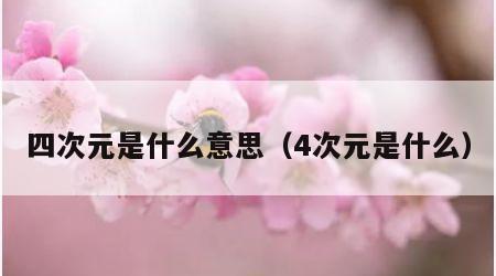 四次元是什么意思（4次元是什么）