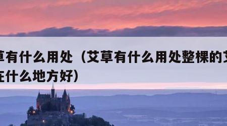 艾草有什么用处（艾草有什么用处整棵的艾草放在什么地方好）