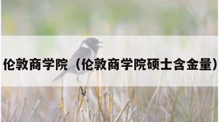 伦敦商学院（伦敦商学院硕士含金量）