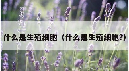 什么是生殖细胞（什么是生殖细胞?）