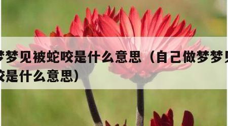 做梦梦见被蛇咬是什么意思（自己做梦梦见被蛇咬是什么意思）