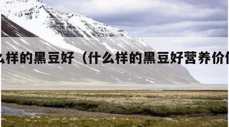 什么样的黑豆好（什么样的黑豆好营养价值高）