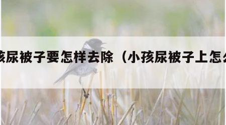 小孩尿被子要怎样去除（小孩尿被子上怎么办）