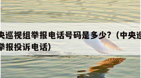 中央巡视组举报电话号码是多少?（中央巡视组举报投诉电话）
