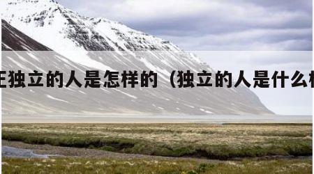 真正独立的人是怎样的（独立的人是什么样的）