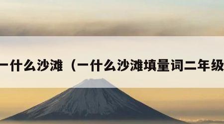 一什么沙滩（一什么沙滩填量词二年级）