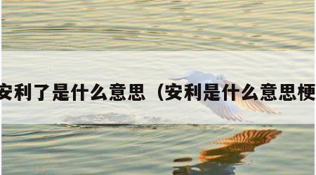 安利了是什么意思（安利是什么意思梗）