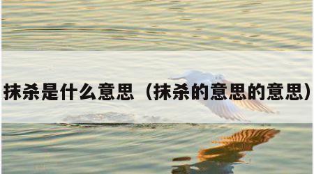 抹杀是什么意思（抹杀的意思的意思）