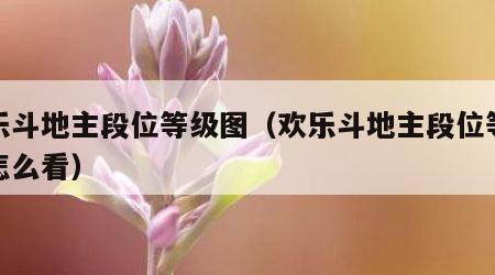 欢乐斗地主段位等级图（欢乐斗地主段位等级图怎么看）