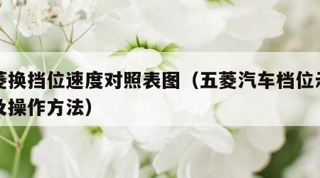 五菱换挡位速度对照表图（五菱汽车档位示意图及操作方法）