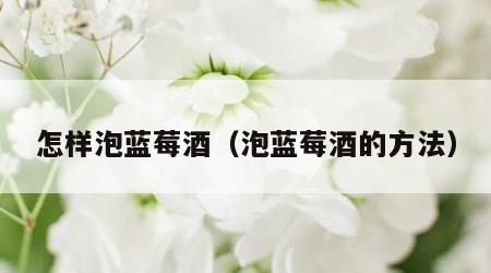 怎样泡蓝莓酒（泡蓝莓酒的方法）