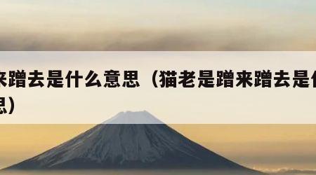 蹭来蹭去是什么意思（猫老是蹭来蹭去是什么意思）