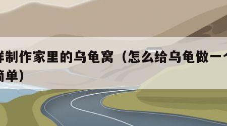 怎样制作家里的乌龟窝（怎么给乌龟做一个窝最简单）