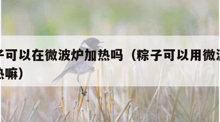 粽子可以在微波炉加热吗（粽子可以用微波炉加热嘛）