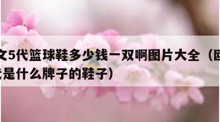 欧文5代篮球鞋多少钱一双啊图片大全（欧文5代是什么牌子的鞋子）