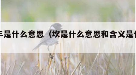 坎年是什么意思（坎是什么意思和含义是什么）