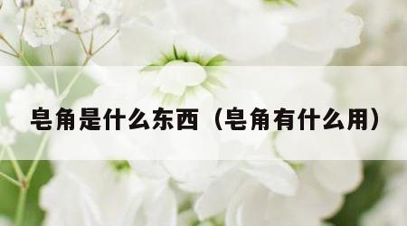 皂角是什么东西（皂角有什么用）