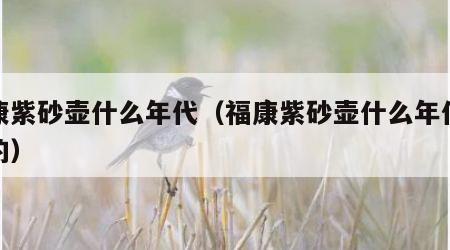 福康紫砂壶什么年代（福康紫砂壶什么年代发明的）