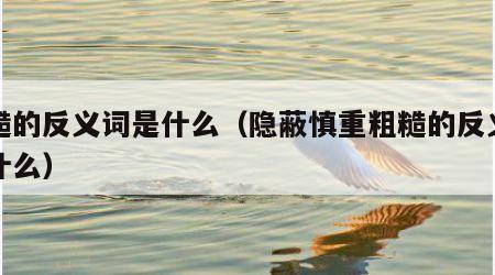 粗糙的反义词是什么（隐蔽慎重粗糙的反义词是什么）