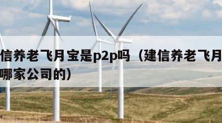 建信养老飞月宝是p2p吗（建信养老飞月宝是哪家公司的）