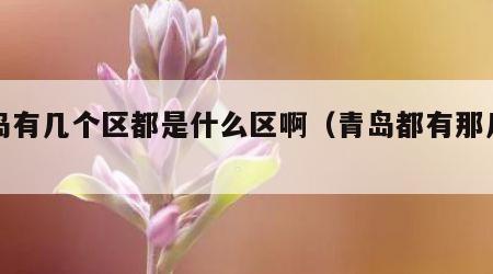 青岛有几个区都是什么区啊（青岛都有那几个区）