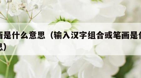 笔画是什么意思（输入汉字组合或笔画是什么意思）
