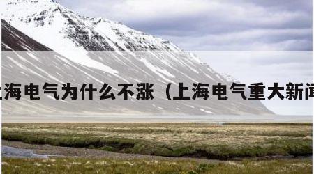上海电气为什么不涨（上海电气重大新闻）