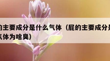 屁的主要成分是什么气体（屁的主要成分是什么气体为啥臭）