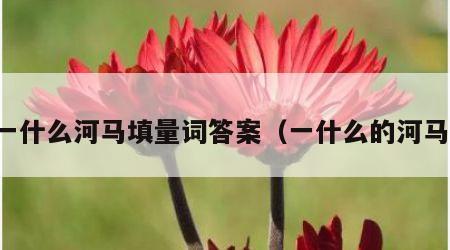 一什么河马填量词答案（一什么的河马）