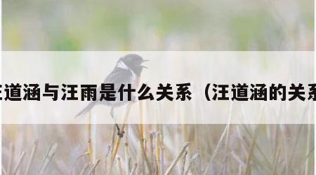 汪道涵与汪雨是什么关系（汪道涵的关系）