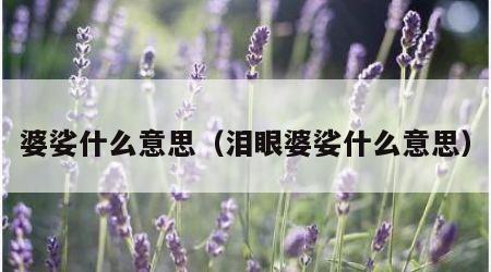 婆娑什么意思（泪眼婆娑什么意思）