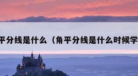 角平分线是什么（角平分线是什么时候学的）