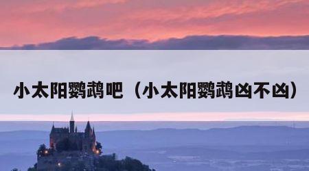 小太阳鹦鹉吧（小太阳鹦鹉凶不凶）